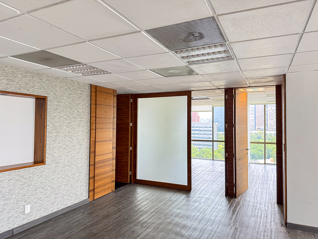 Oficinas Polanco, Lago Victoria — imagen 3