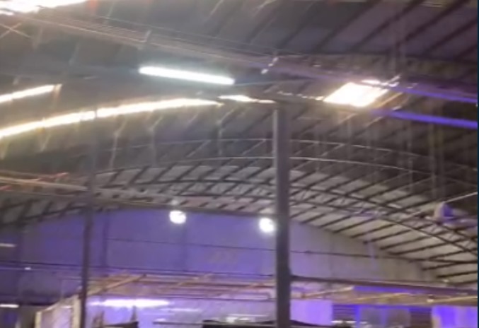 Bodega Naucalpan, Alce Blanco 2 — imagen 2