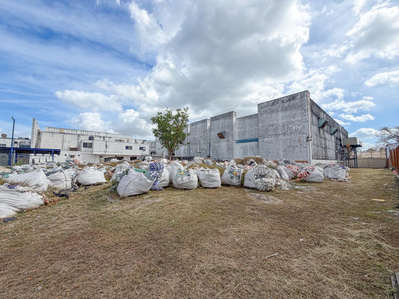 Bodega Mérida — imagen 3