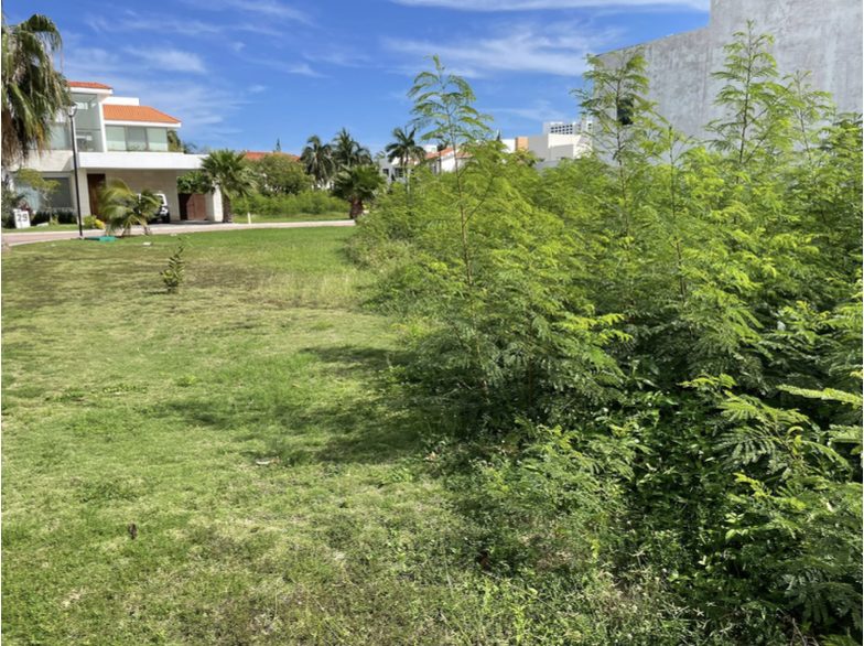 Terreno Cancún — imagen 3